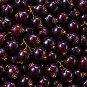Anthocyanins