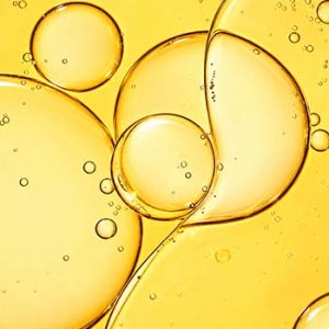 Coenzyme Q10