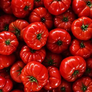 Lycopene